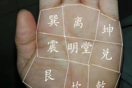 手掌大指头短，命运暗藏玄机！解析手相的奥秘与人生启示