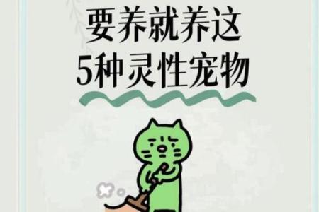 养什么死什么的人是什么命？揭秘命运与宠物的秘密！