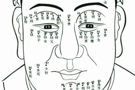 1981年正月出生的女性命运解析与发展建议