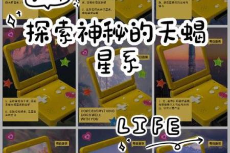 探索十四主星的命理与喜好，揭开个性密码的神秘面纱