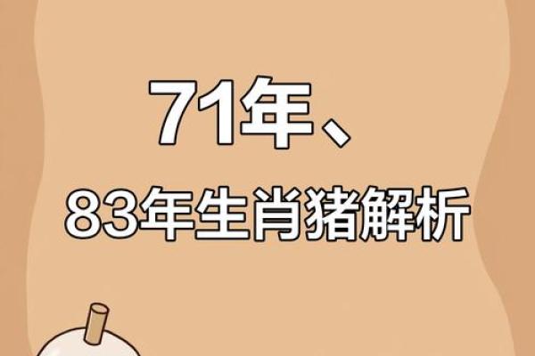 2017年的猪命解析：性格、运势与未来发展全方位解读
