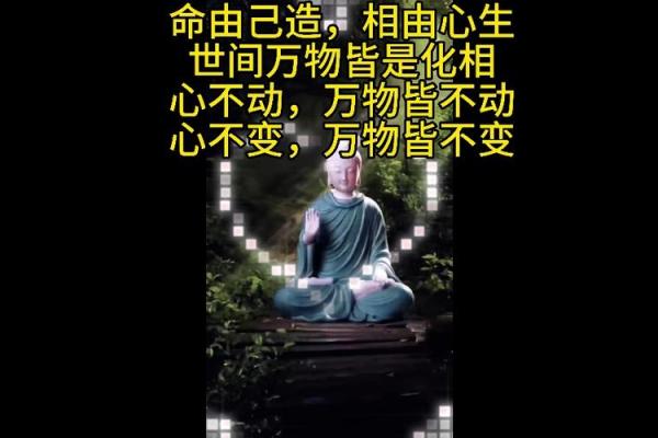命运掌握在自己手中：解读“命由己造”四字成语的深刻含义