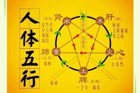 揭开72是什么命的五行之谜，探寻命理的奥秘与人生的指引