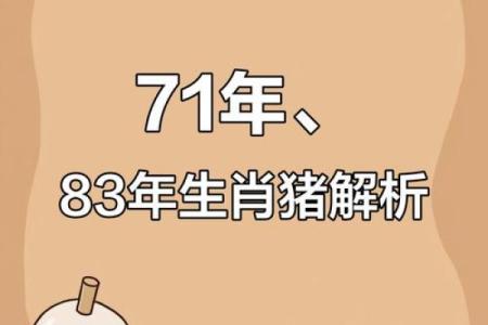 2017年的猪命解析：性格、运势与未来发展全方位解读