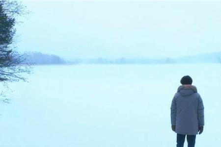 乙年生人的命运解析：性格、事业与情感的全面探讨