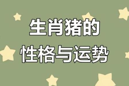 71年属猪命缺什么？解密生肖猪的命理与性格!