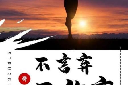 “命真大”——人生的无常与坚持的力量