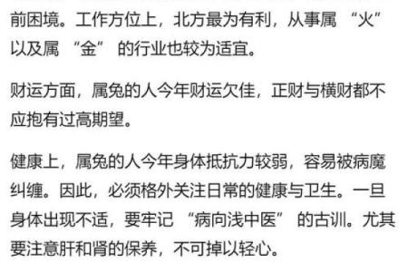 兔年出生的人命运解析：揭秘2011兔年的秘密与运势