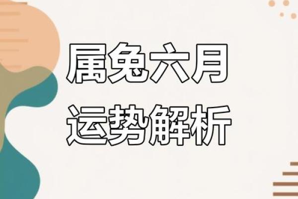 88年属兔人士的命格分析与运势揭秘