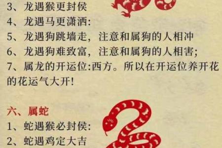 2023年猴宝宝的命运揭秘：揭示五行与生肖的奇妙关系