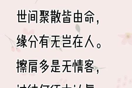 水命与其他命相合的缘分与和谐