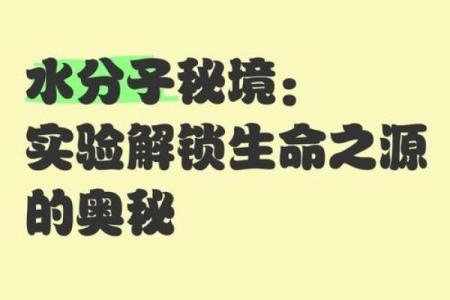 探索命能的奥秘：与宇宙洪流共舞的秘密之旅
