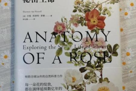 养花的秘密：长得好的花能揭示你的命运与生活哲学