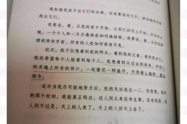 信命者的信仰：命运与选择交织的人生旅程