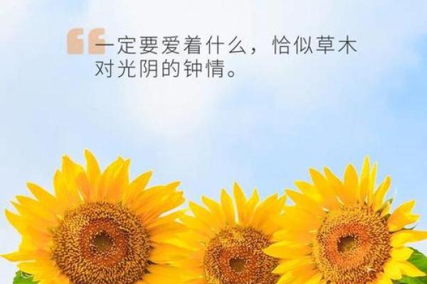 增强天上火命的运势：从木的角度探寻人生能量之道