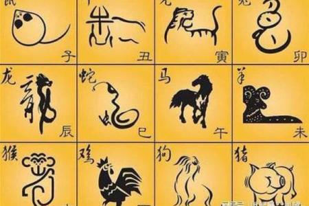 探秘：哪些属相的女性拥有最富有的命运？