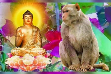 92年属猴：在命理中的独特之处与人生启示