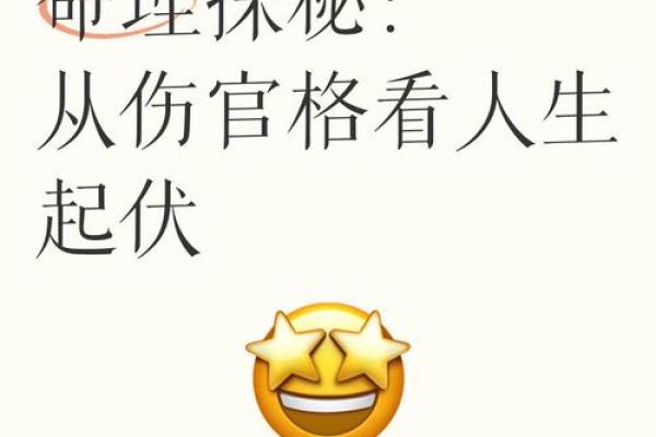 探秘命理：武命与文命的深刻含义与影响