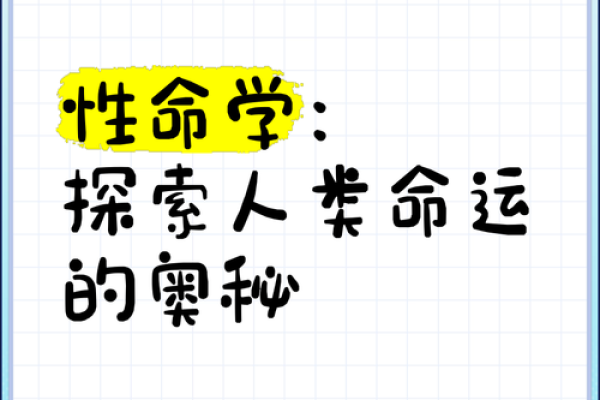 适合什么命的人：探索命理与人生的奥妙之旅