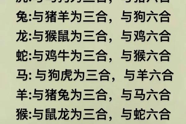 属相火命最佳选择：鼠、蛇与马的完美结合
