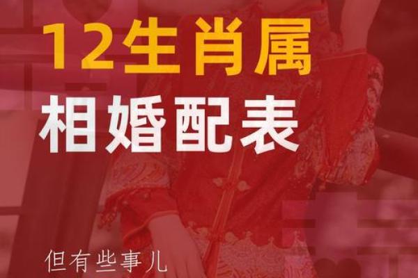 属相火命最佳选择：鼠、蛇与马的完美结合