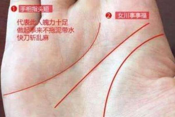 甲寅丁卯命格揭秘：你的未来究竟掌握在谁的手中？