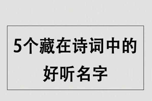 探秘农历5月19日出生者的命运与性格特点
