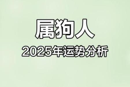2023年属狗人士的土命解析与运势展望