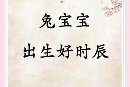 2011年：金兔年的魅力与象征意义