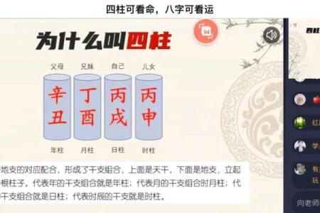 探秘命理：武命与文命的深刻含义与影响