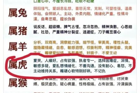 2023年52岁属什么命？探寻生肖的奥秘与人生轨迹