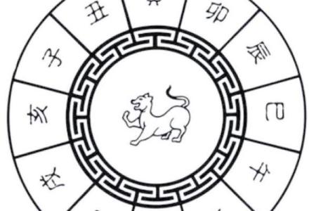 戊戌年命理解析：如何把握财富之机，走向人生巅峰！