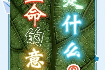 命的真谛：我们每个人都在追寻的生命意义