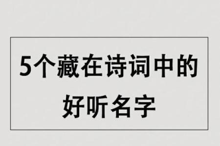 探秘农历5月19日出生者的命运与性格特点