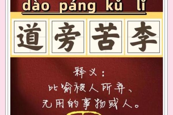 命运无常，成语背后的故事与智慧