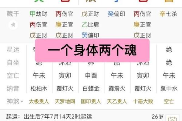 探索癸巳命格：独特的人生轨迹与性格特点