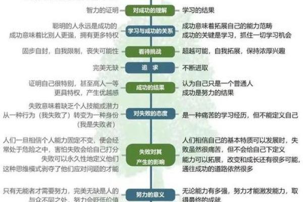 揭开12星座长大后的命运面纱：成长与人生的奇妙旅程