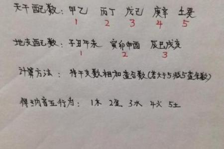 探寻壬申年与壬寅年的命理奥秘：为你解读五行与天干地支的结合
