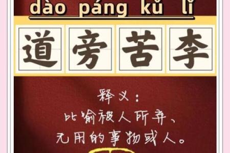 命运无常，成语背后的故事与智慧
