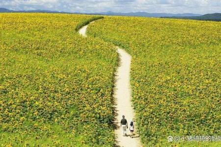 井泉水时辰与命理：探寻人生的流淌与节奏