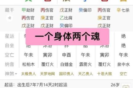 探索癸巳命格：独特的人生轨迹与性格特点