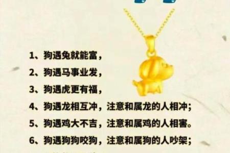 虚岁63属狗的命运解析：探寻人生奥秘与性格特征