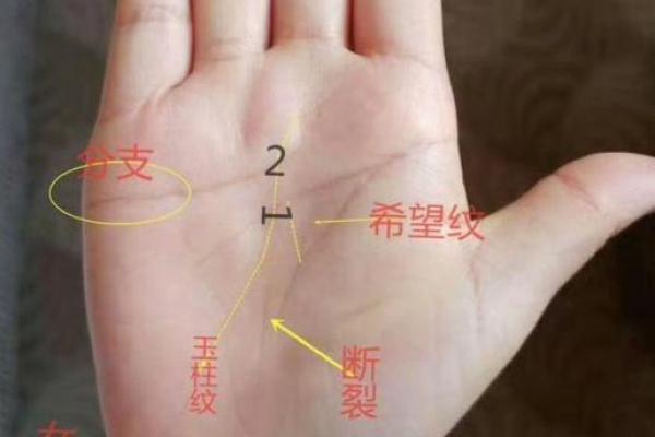 将军的命：从手纹看你的命运