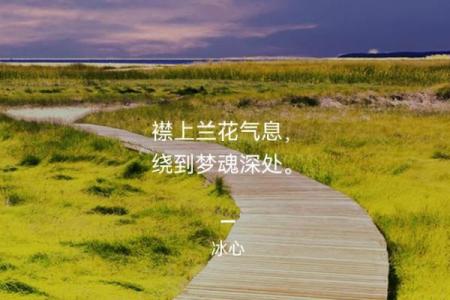 当音乐为生命注入激情，这首歌到底在讲什么？
