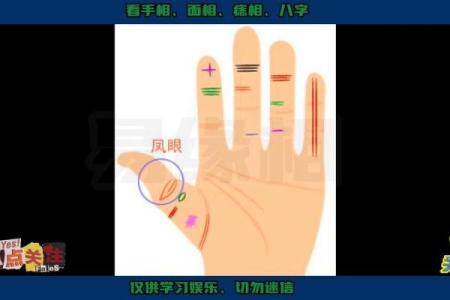 将军的命：从手纹看你的命运