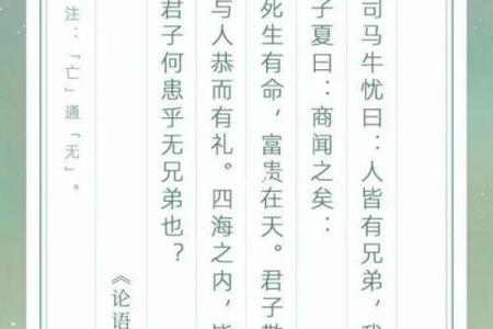 兄弟情深：探究“兄弟命”的深意与价值