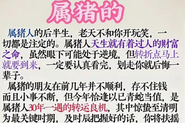 探秘1972年亥猪命运：你的命中注定与情感风波！
