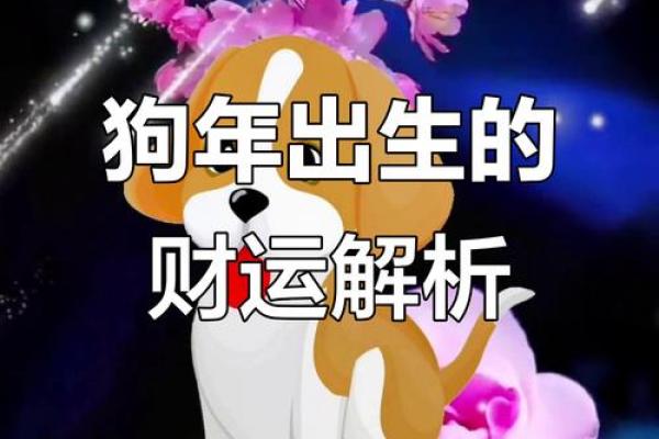 2020年属狗人的命运解析：财富、事业与情感的三重奏