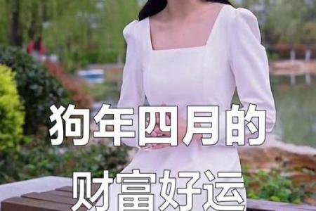 2020年属狗人的命运解析：财富、事业与情感的三重奏