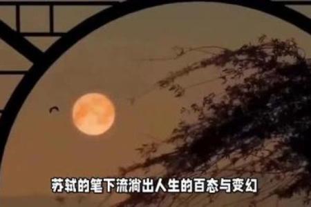 52年龙与46年命运交织：探寻人生的奥秘与智慧